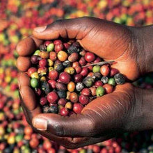 Load image into Gallery viewer, Exotic African Espresso Coffee